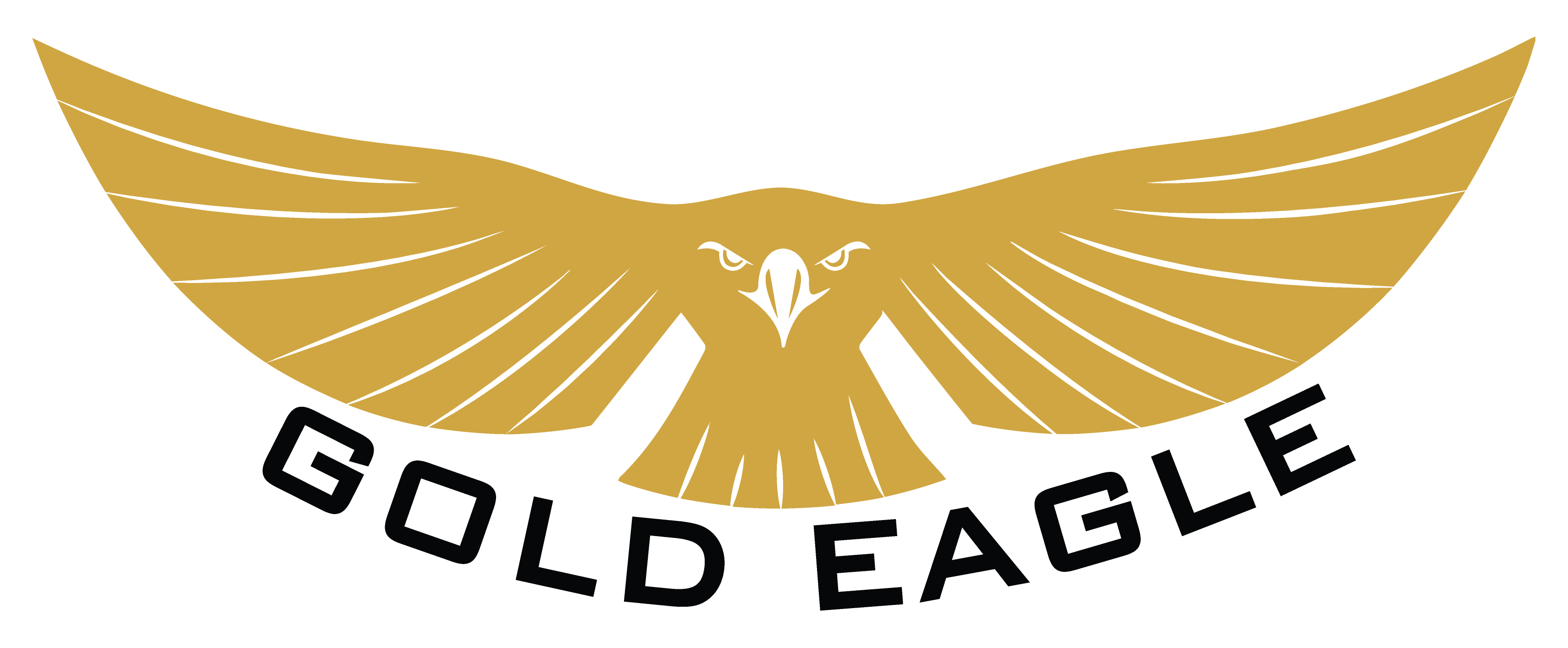 Project Gold Eagle logo